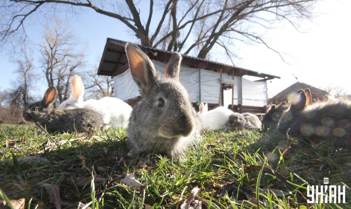 Vrabca treba nájsť včas / koláž s fotografiou Moje
