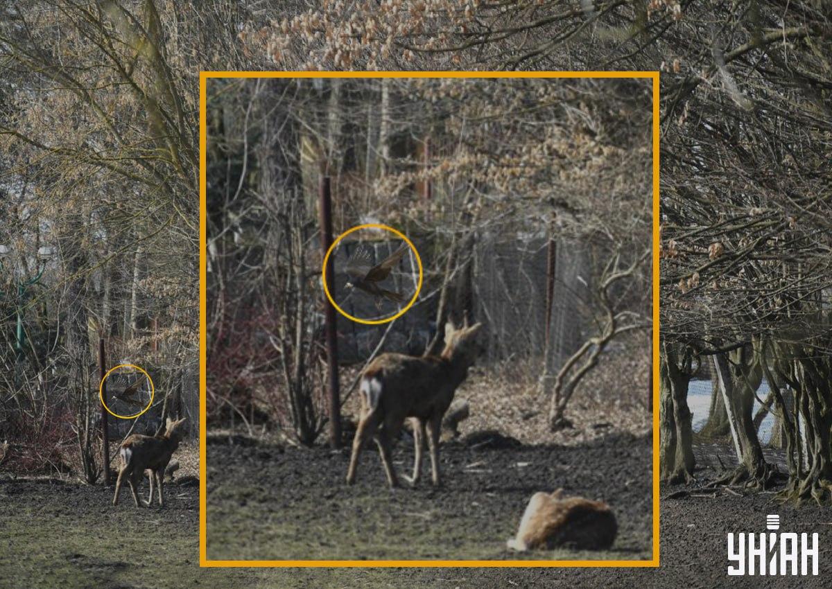 Foto Moje