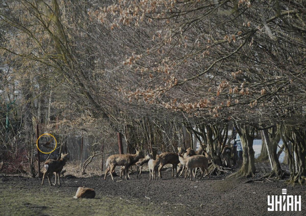 Fotografia Moje
