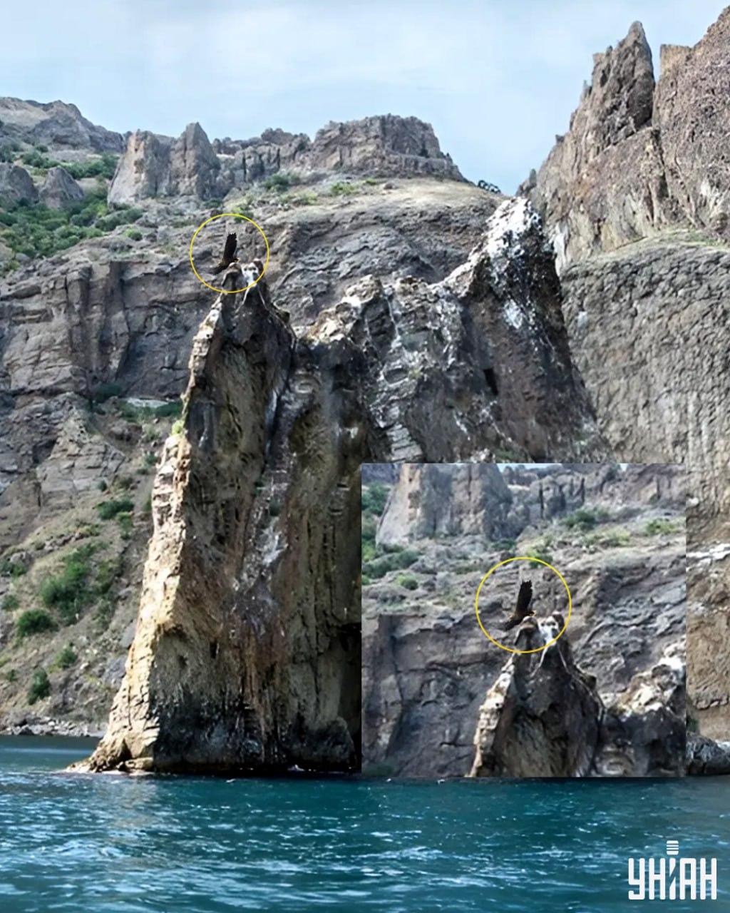 Vták je na jednom z vrcholov útesu / koláž s fotografiou Moje
