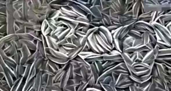Iluzia