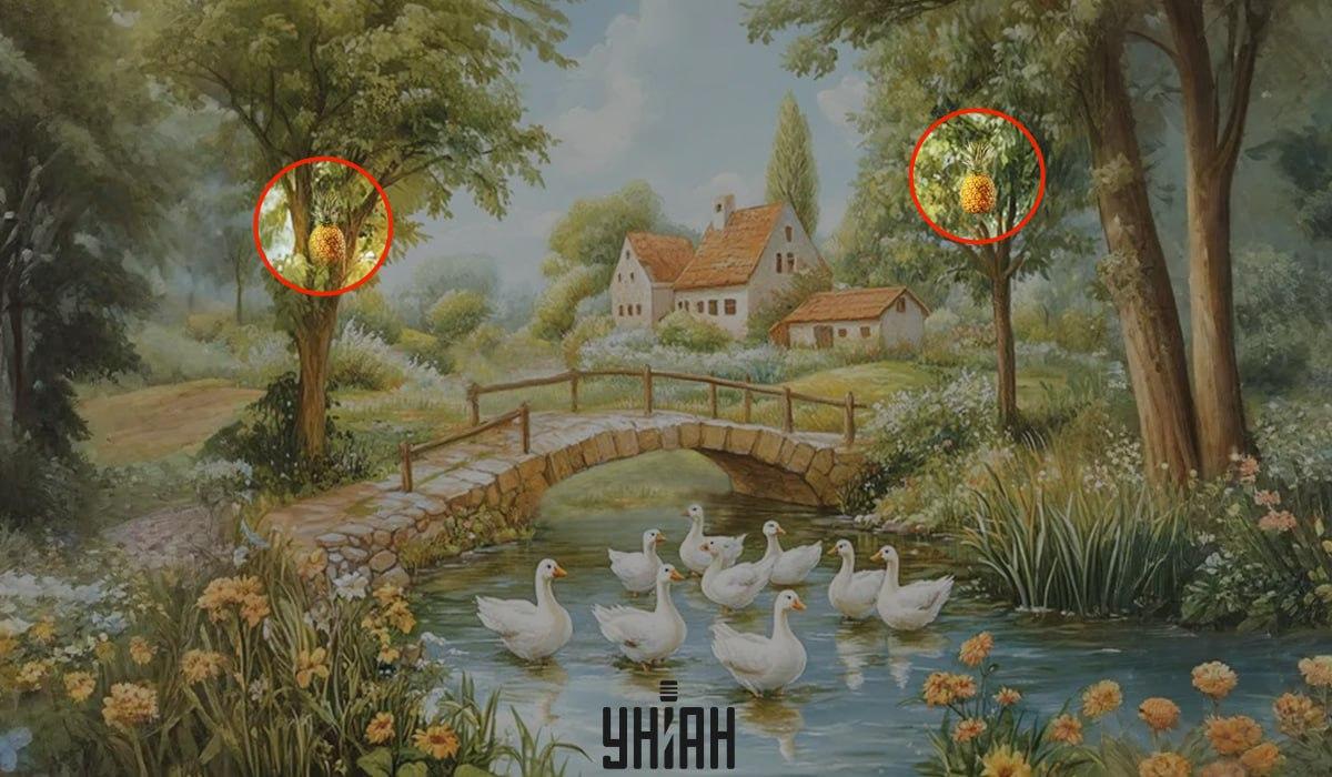 Koláž Moje