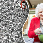 Hádanka, ktorú treba vyriešiť za 9 sekúnd: kde je babička