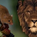 Hádanka pre ľudí s ostrým zrakom: musíte nájsť myš za