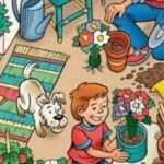 Hádanka pre tých, ktorí majú úžasný zrak: musíte nájsť ceruzku