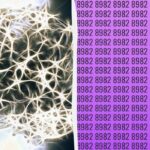 Jednoduchý IQ test: nájdite ďalšie číslo za 9 sekúnd