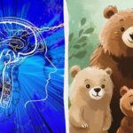 Nájdenie falošného medveďa za 5 sekúnd: veľmi jednoduchý IQ test