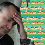 Nezvyčajná hádanka pre najpozornejších: musíte nájsť 16 domov za 15
