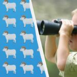 Prekvapivo ťažká hádanka: za 7 sekúnd musíte nájsť jedinečný baran