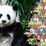 Rýchly IQ test: len 1 % ľudí dokáže nájsť pandu