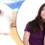 Táto vírusová ilúzia je úžasne presná: dozviete sa viac o