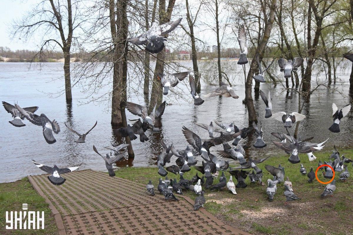 Fotografia Moje
