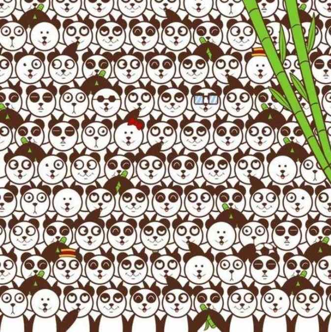 Len 2 % ľudí dokážu nájsť loptičku medzi pandami: jednoduchý IQ test