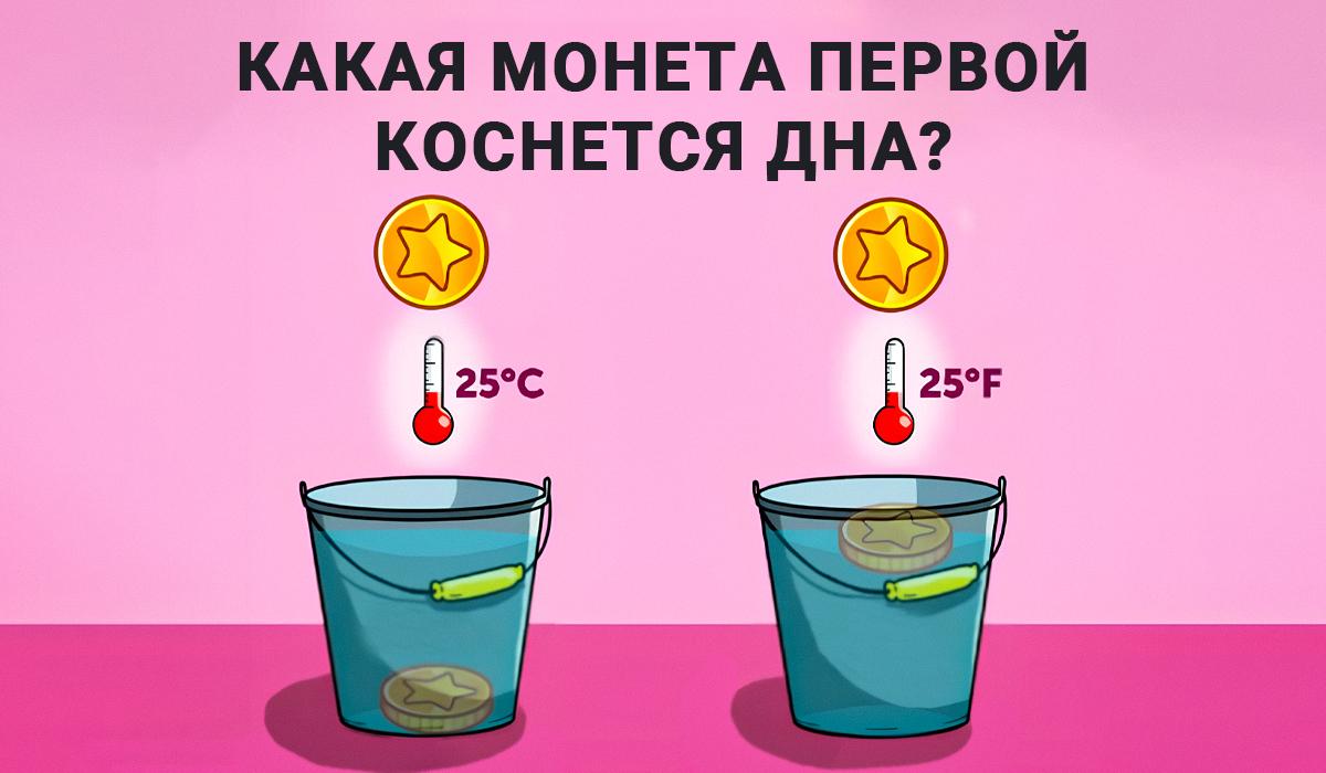 Odpoveď na IQ-test / koláž Moje