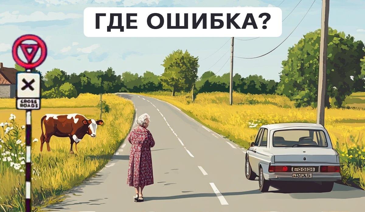 Test pozornosti / koláž Moje