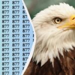 Táto hádanka vám „zlomí“ oči: nájdite tajné číslo za 15